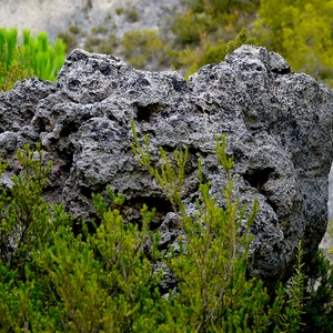 Rocher de lave entouré de végétation - France  - collection de photos clin d'oeil, catégorie paysages